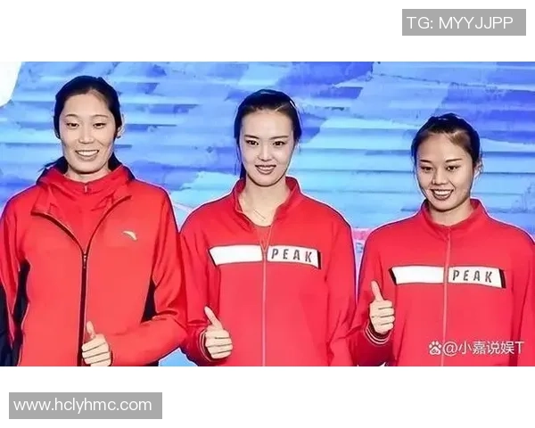 南京排球队的战术变革与球员成长深度解析